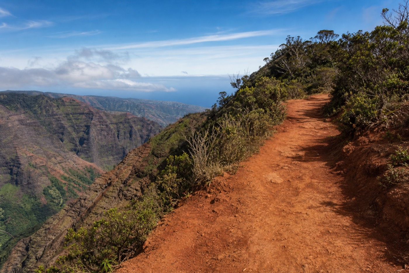 A red-dirt hiking trail along the rim of Waimea Canyon with Nā Pali cliffs in the distance