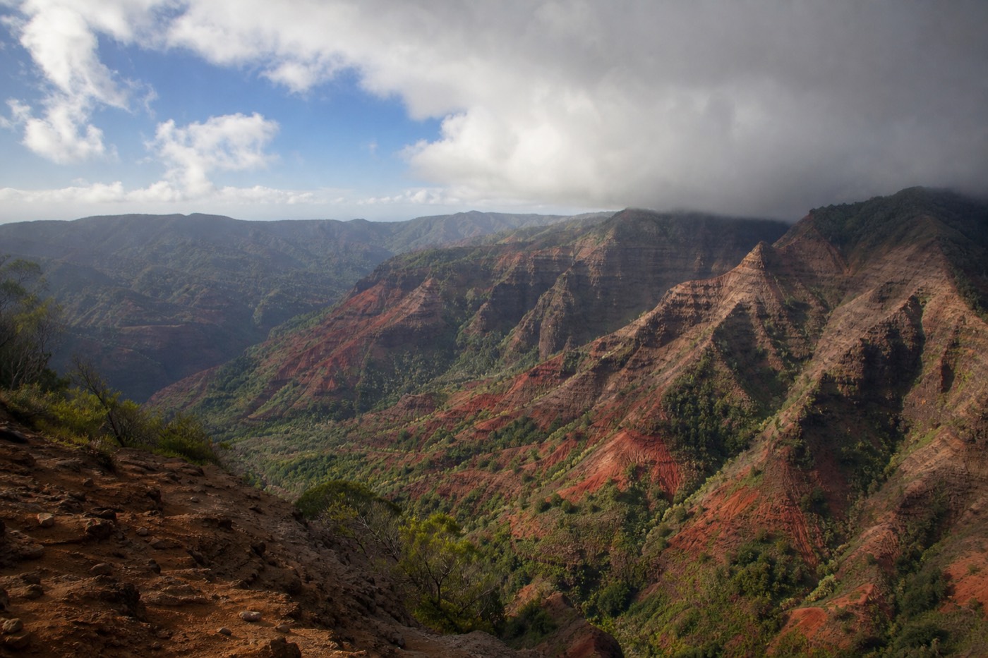 Clear early-morning view down Waimea Canyon before midday clouds form over the rim