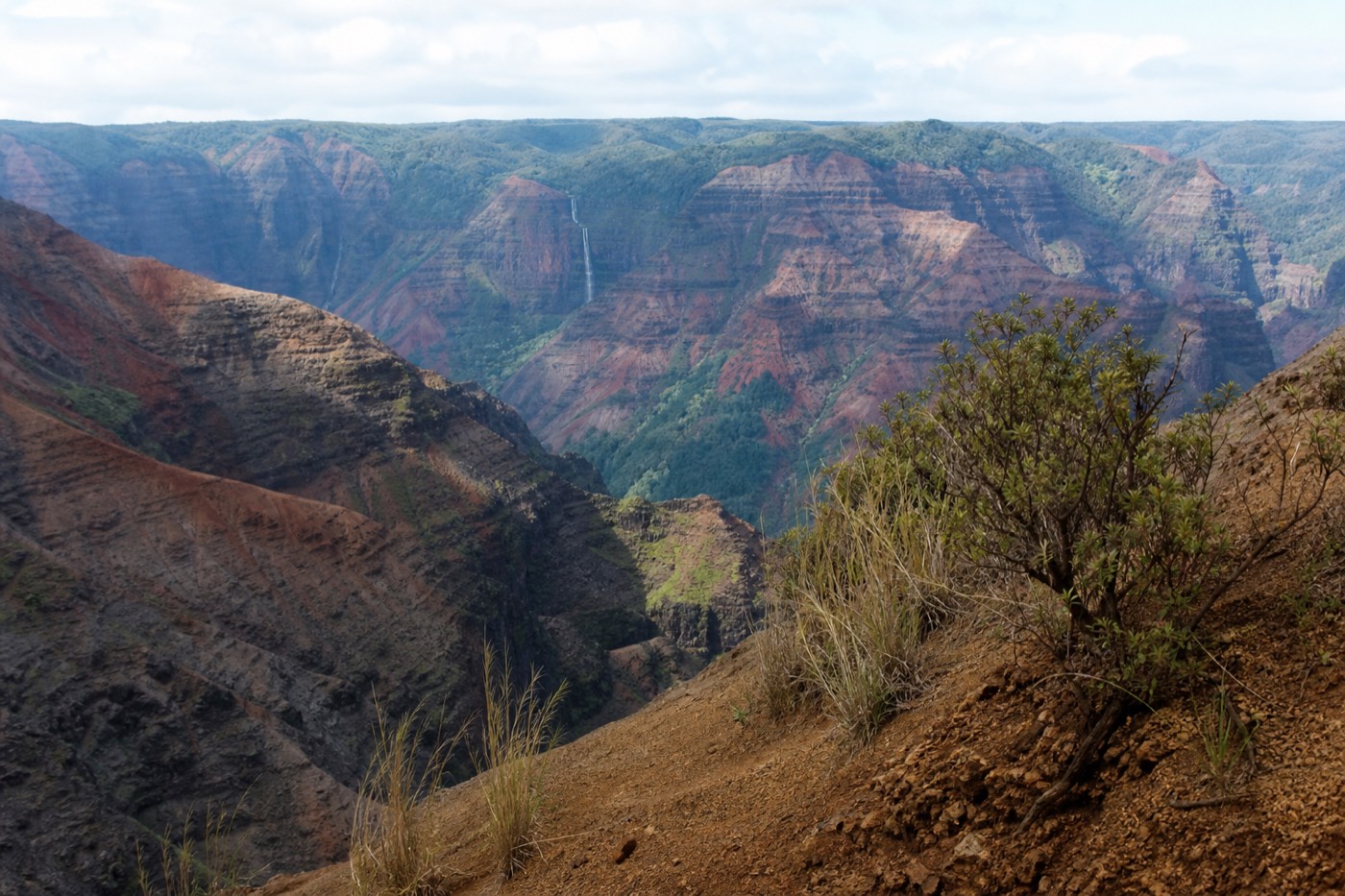 Waipoʻo Falls seen as a distant thread of water across Waimea Canyon from a paved lookout