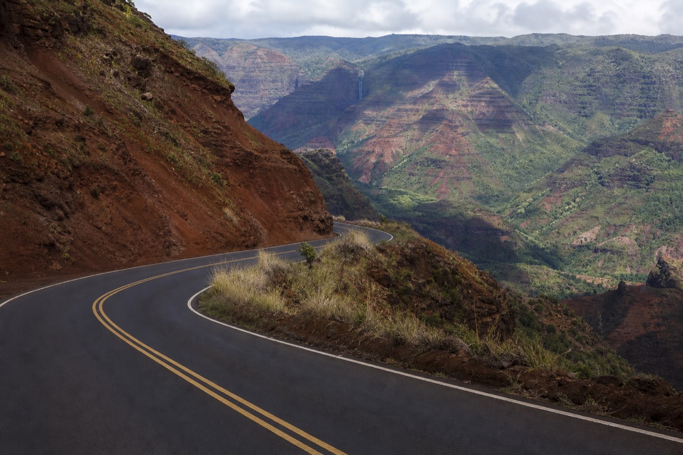 A small-group tour van at a Waimea Canyon overlook, the practical way to visit without a rental car