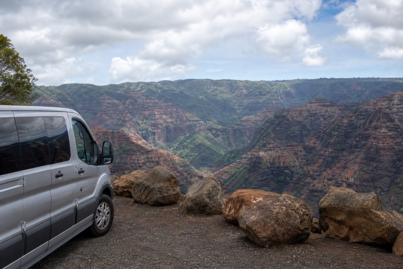 Guide pointing out canyon layers to a small group at a Waimea Canyon lookout