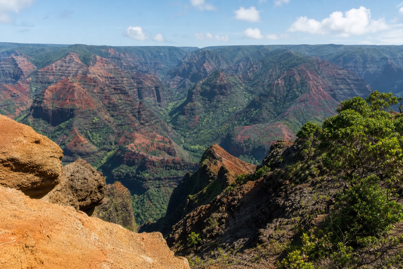 Visitors at a Waimea Canyon rim lookout with the layered canyon stretching behind them