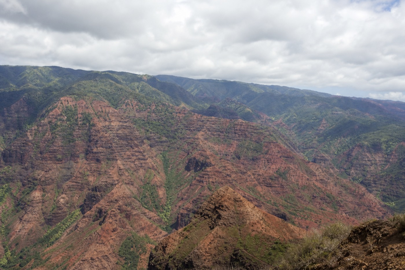 Waimea Canyon lookout in morning light with the forested Kōkeʻe uplands beyond under a clear sky
