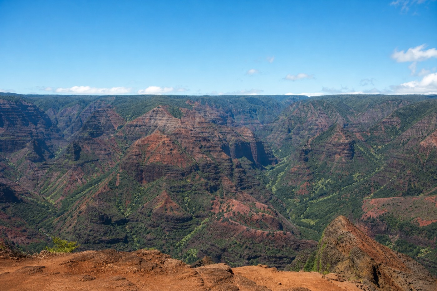 Clear-morning panorama of Waimea Canyon's red and green cliffs from a rim lookout