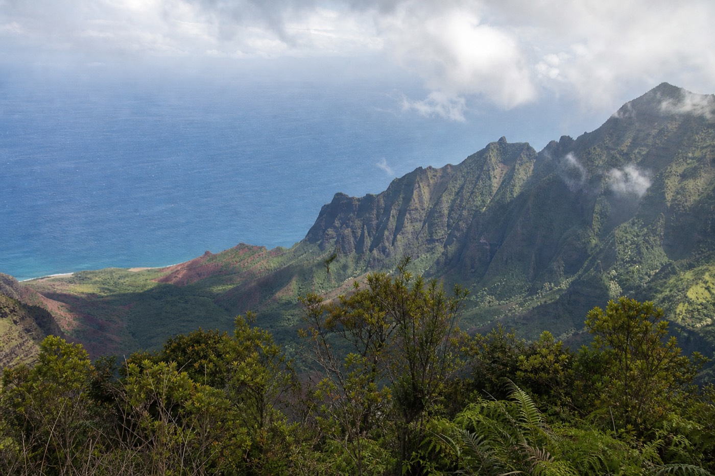 Nā Pali Coast ridges and ocean seen from a Kōkeʻe lookout above Kauai