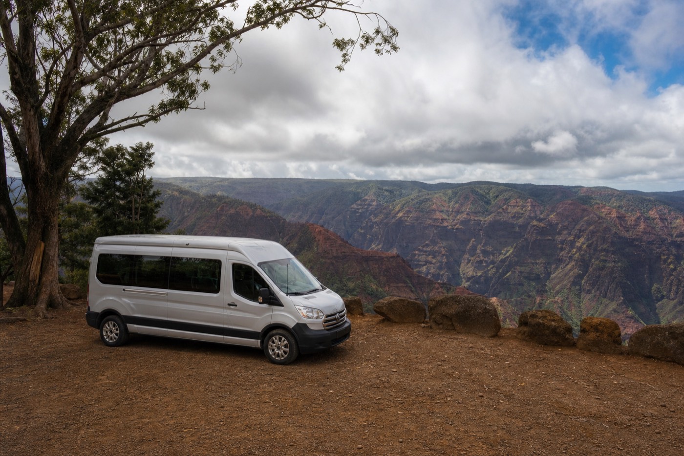 Small-group van at a Waimea Canyon lookout on a Kauai cruise shore excursion