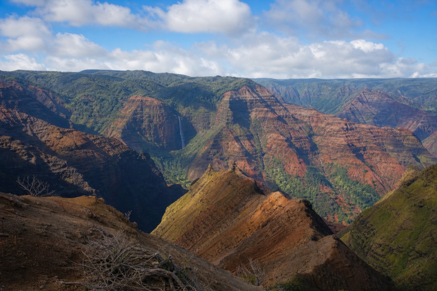 Layered red and green cliffs of Waimea Canyon State Park on Kauai seen from a rim lookout