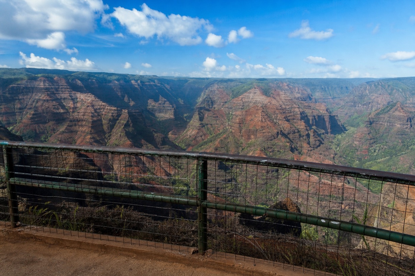 Family with young children at a railed Waimea Canyon overlook on a clear morning