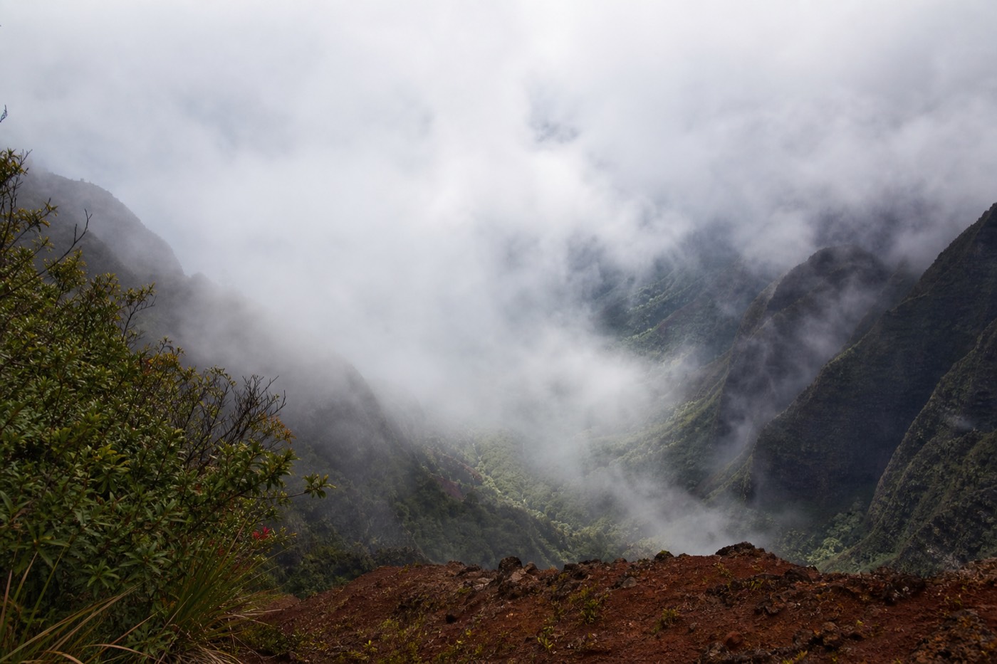 Mist filling Kalalau Valley below the lookout on Kauai, partly hiding the Nā Pali Coast