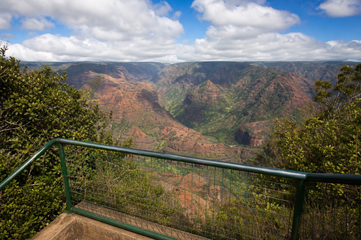 Families at a Waimea Canyon overlook